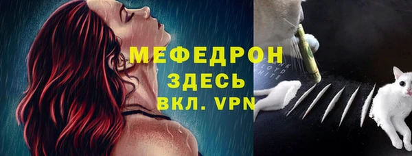 твердый Гатчина