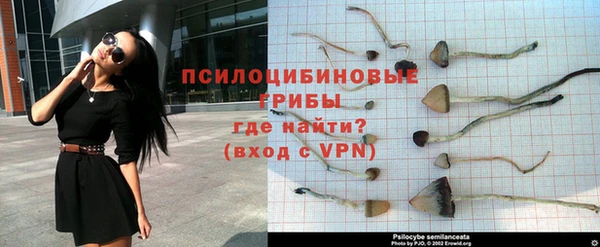 амф Гвардейск