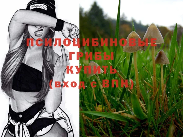 мяу мяу кристалл Покачи