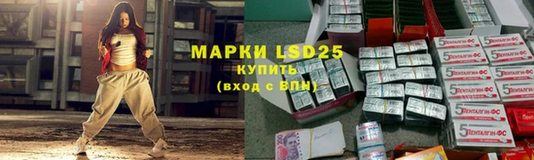 стаф Шилка