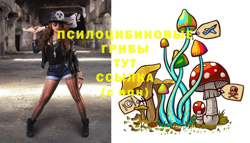 Псилоцибиновые грибы Magic Shrooms  что такое наркотик  Баймак 